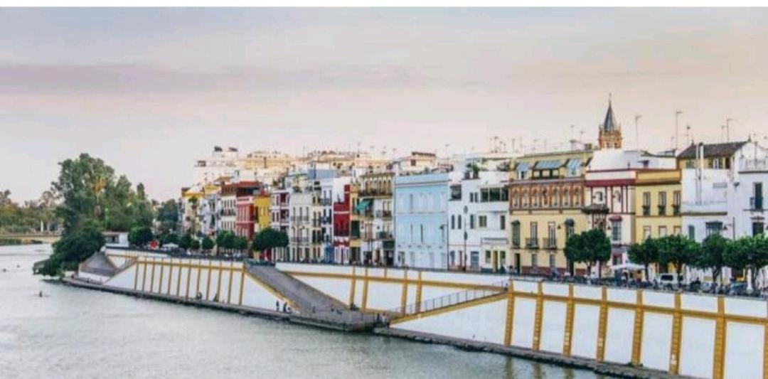 Luminoso y acoger loft, excelente ubicación Apartamento Sevilla Exterior foto